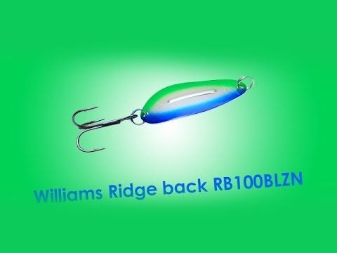 Обзор блесны Williams Ridge back RB100BLZN
