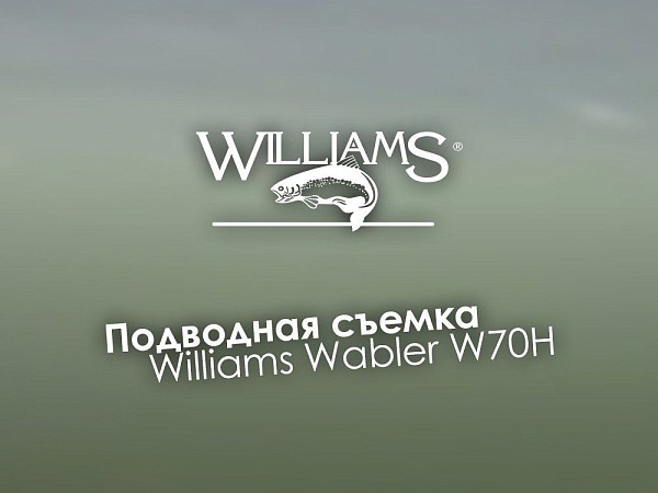 Блесна колебалка на щуку Williams Wabler W70H 28г