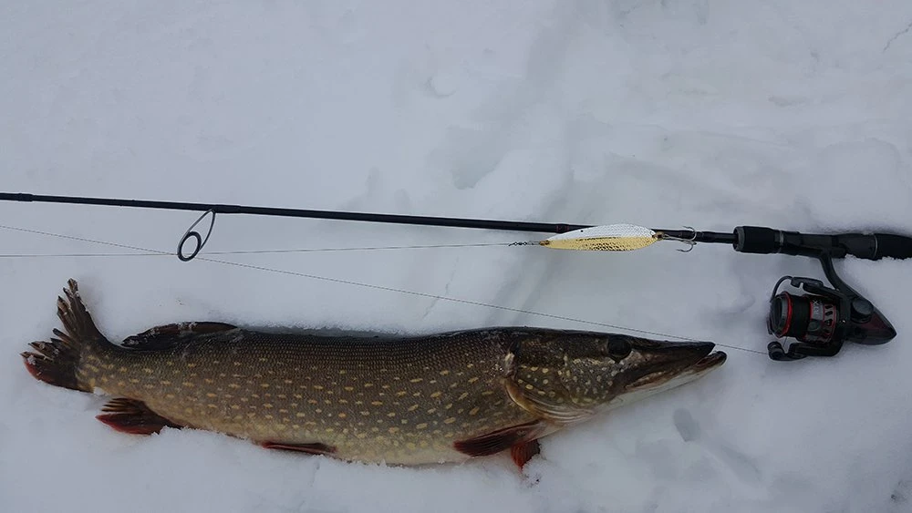 Ловля на наборы блесен Williams