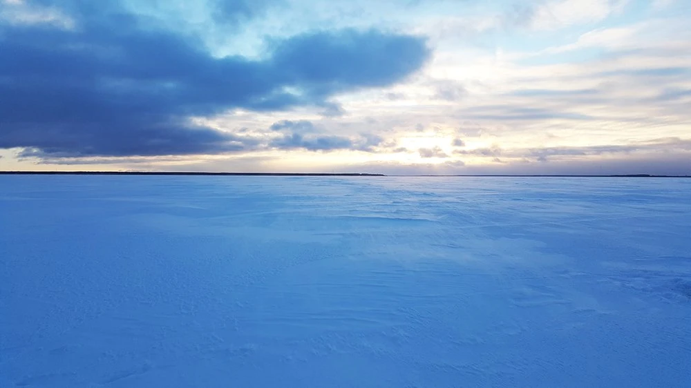 Рыбалка на щуку блесны Williams Wabler W40