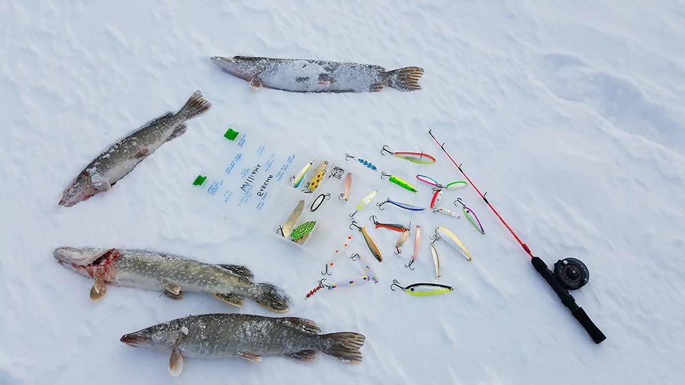 Уловистые Наборы блесен на щуку