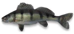 Ловля Берша на блесна Williams Dartee