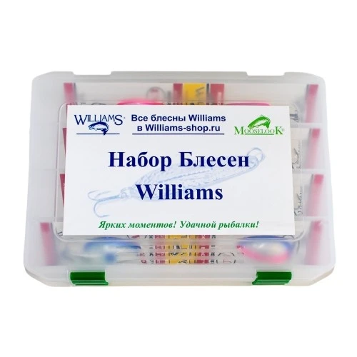 Рыболовный набор блесен Williams Ridge Back RB100 8 шт