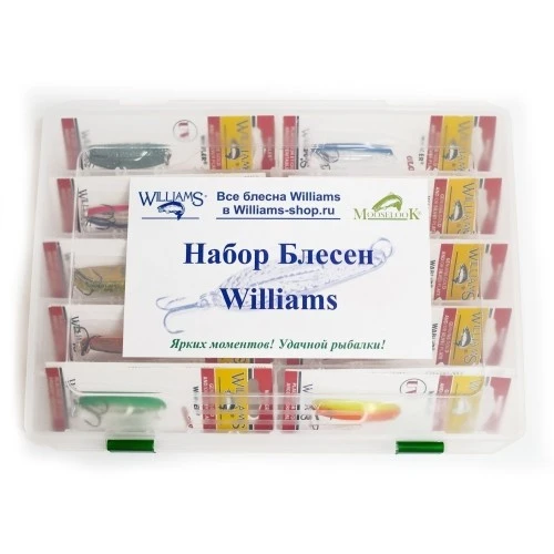 Большой рыболовный набор Двадцать блесен Williams Wabler W40