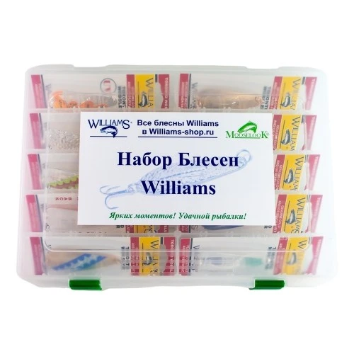 Рыболовный набор Десять блесен Williams Toronto Wobbler WT27