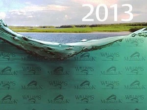 Каталог блесен Williams за 2013 год