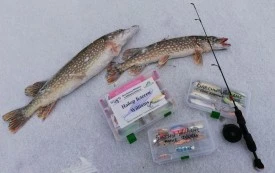 Лучшие серии блесен Williams на ЩУКУ и СУДАКА