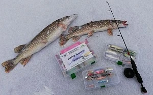 Лучшие серии блесен Williams на ЩУКУ и СУДАКА