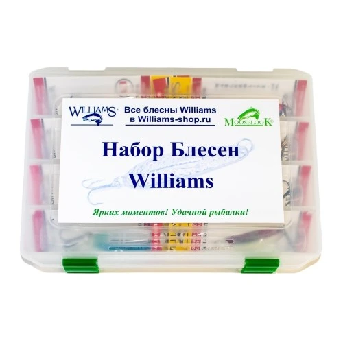 Рыболовный набор блесен Williams Wabler Lite W55 8 шт