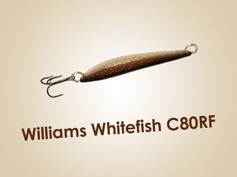 Обзор блесны Williams Whitefish C80RF 28г