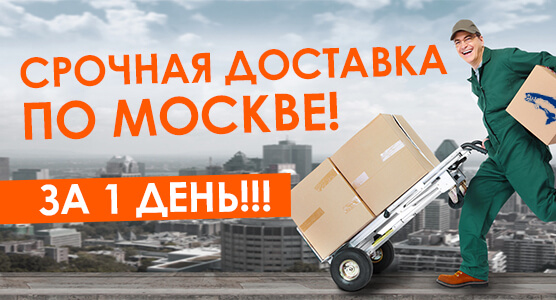 Срочная Доставка Курьером