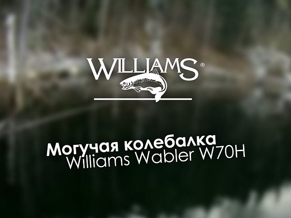 Могучая колебалка Williams Wabler W70H