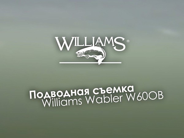 Подводная съемка игры блесны Williams Wabler W60OB 21г
