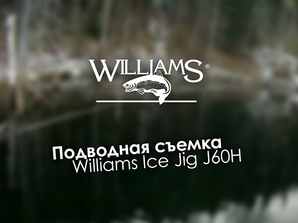 Канадская блесна для зимней рыбалки Williams Ice Jig J60H 14г