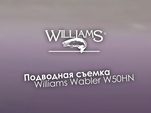 Подводная съемка игры блесны Williams Wabler W50HN 14г
